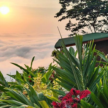 Minca Sintropia - Sustainable Lodge & Organic Coffee Finca Zewnętrze zdjęcie