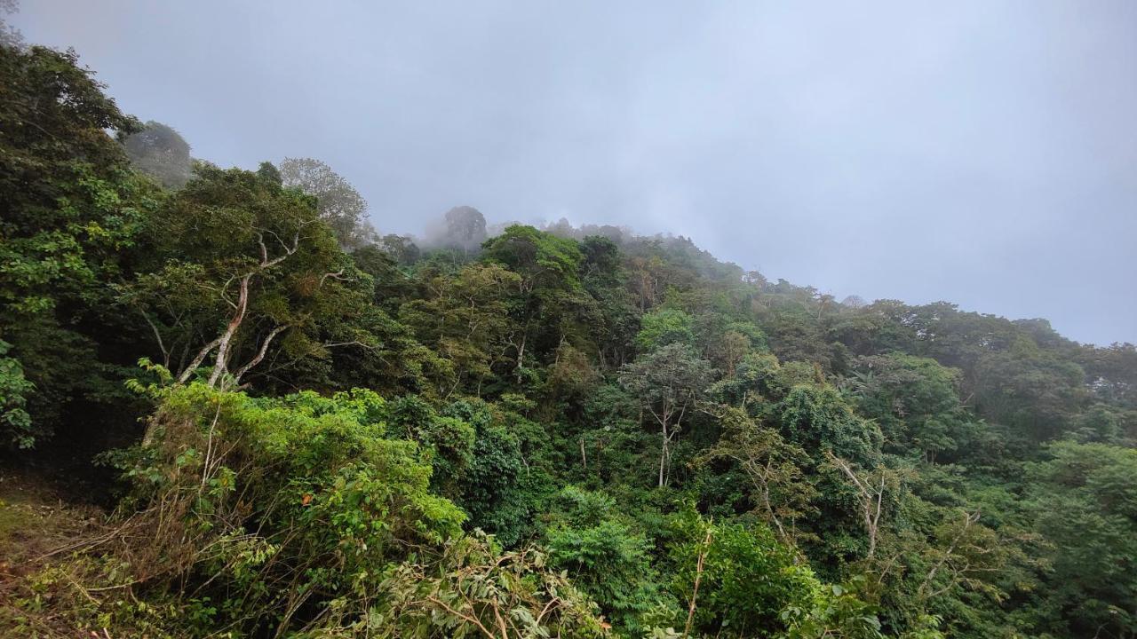 Minca Sintropia - Sustainable Lodge & Organic Coffee Finca Zewnętrze zdjęcie