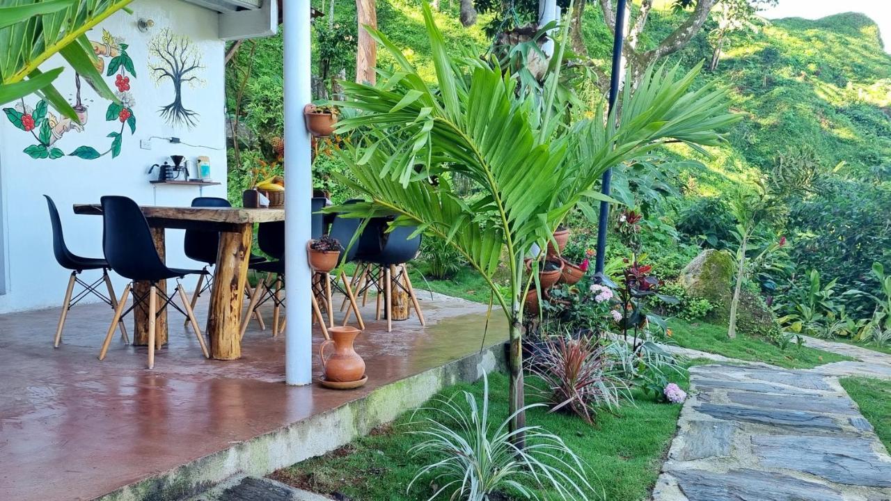Minca Sintropia - Sustainable Lodge & Organic Coffee Finca Zewnętrze zdjęcie