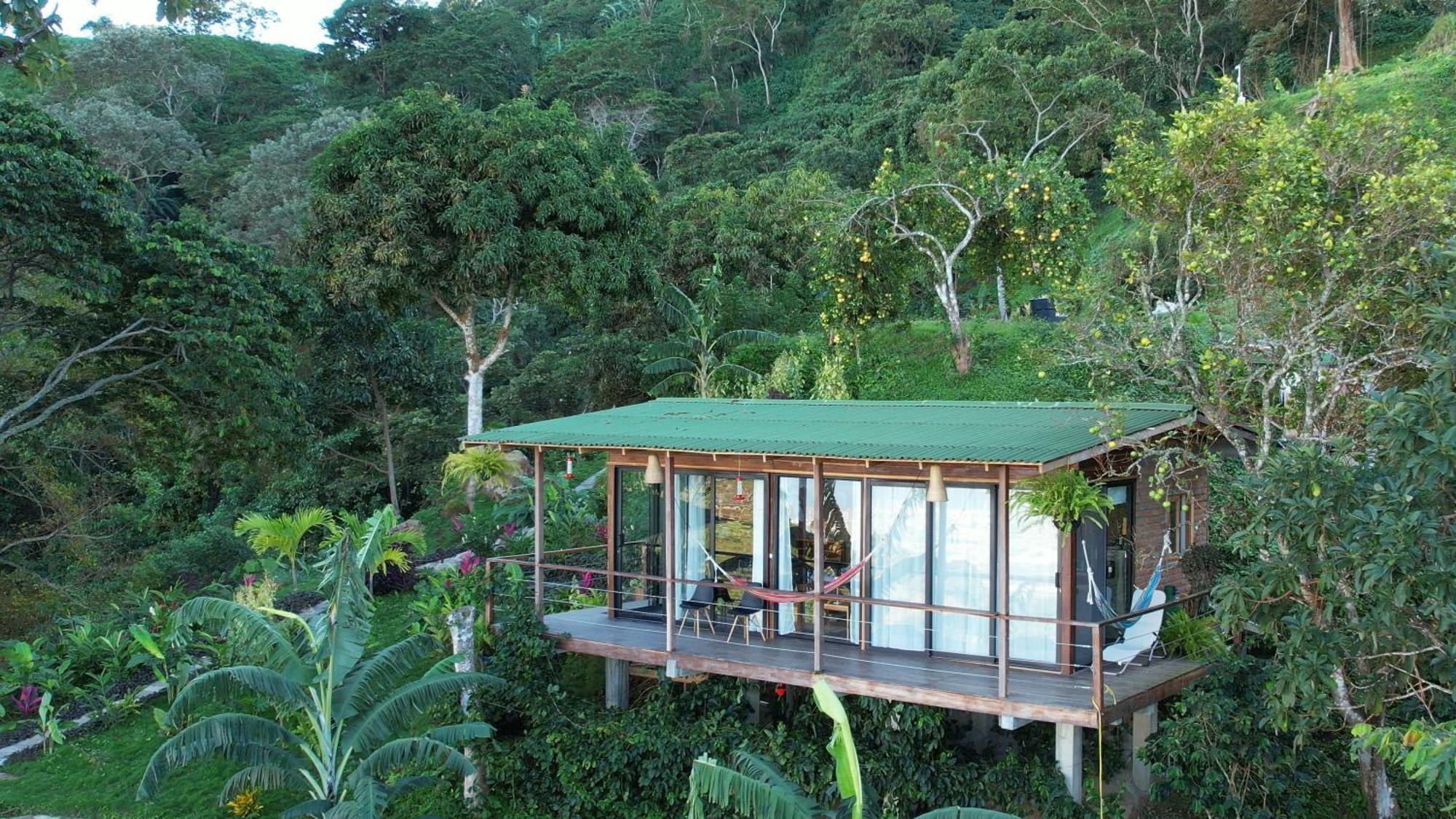 Minca Sintropia - Sustainable Lodge & Organic Coffee Finca Zewnętrze zdjęcie