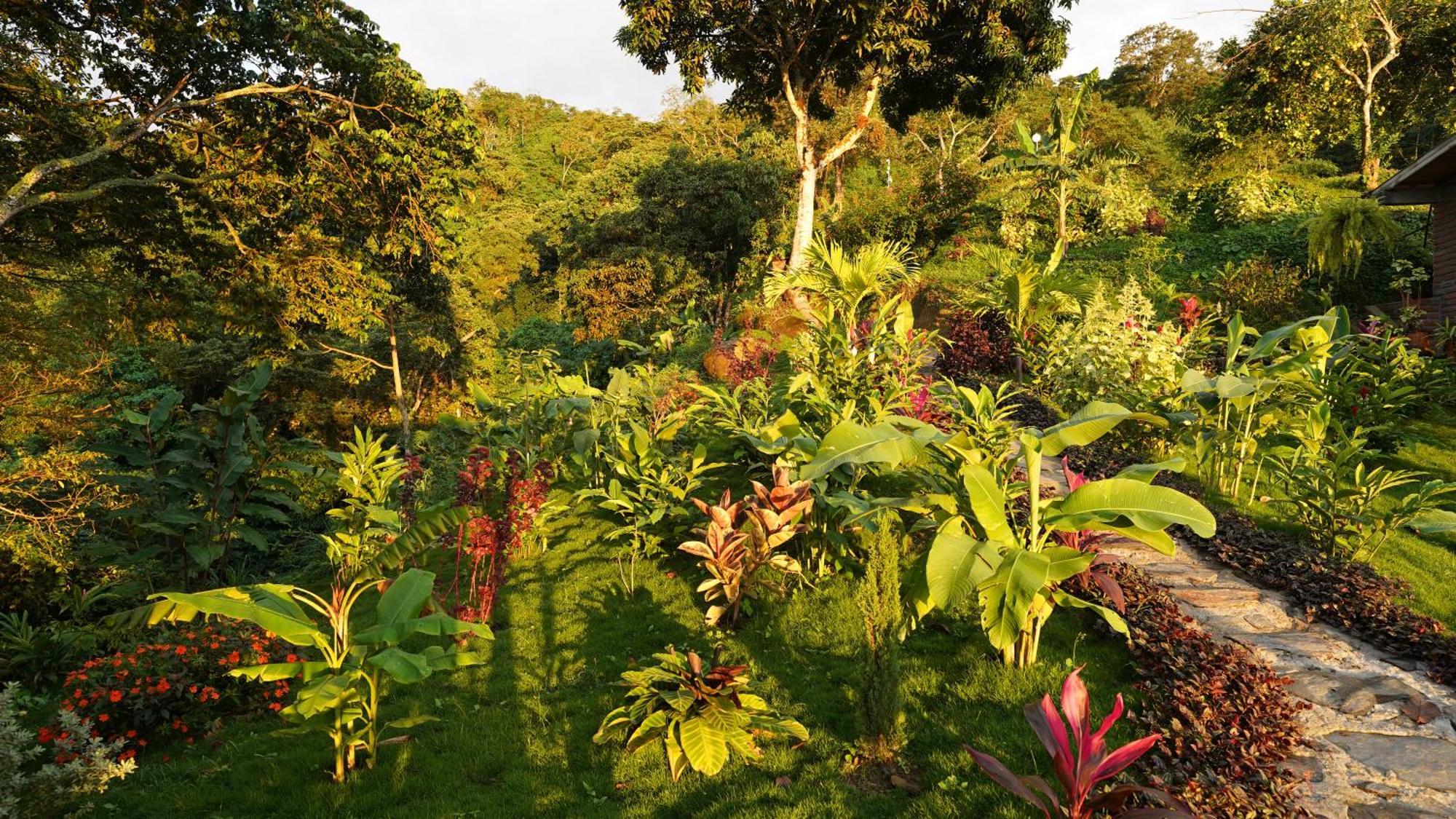 Minca Sintropia - Sustainable Lodge & Organic Coffee Finca Zewnętrze zdjęcie