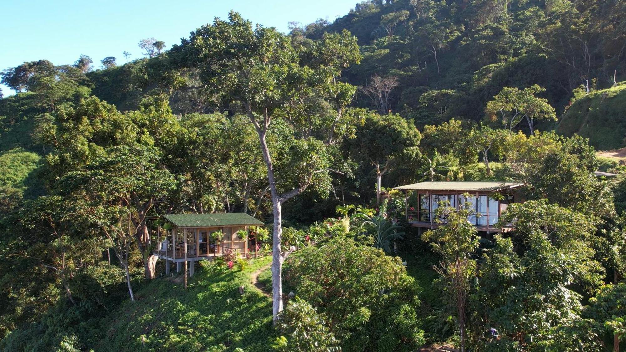 Minca Sintropia - Sustainable Lodge & Organic Coffee Finca Zewnętrze zdjęcie