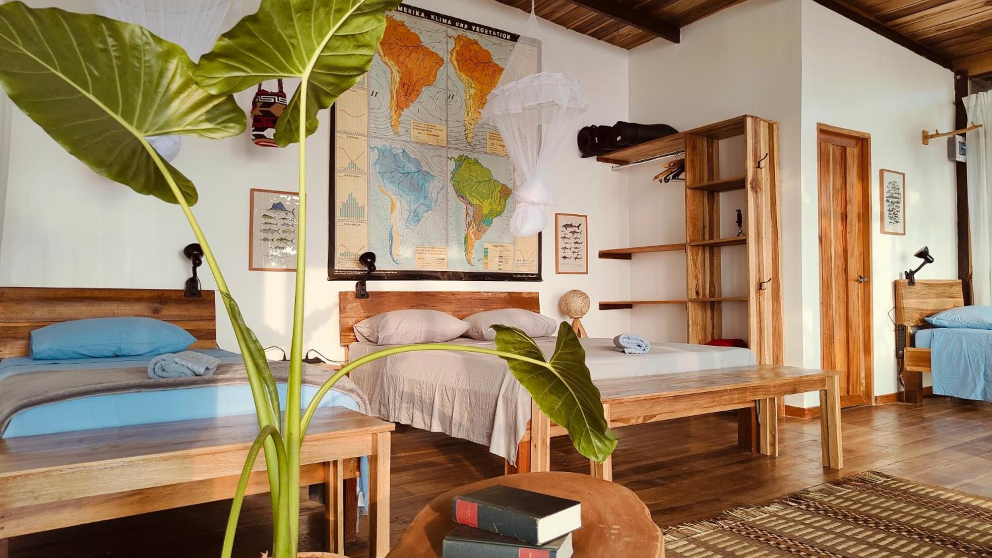 Minca Sintropia - Sustainable Lodge & Organic Coffee Finca Zewnętrze zdjęcie