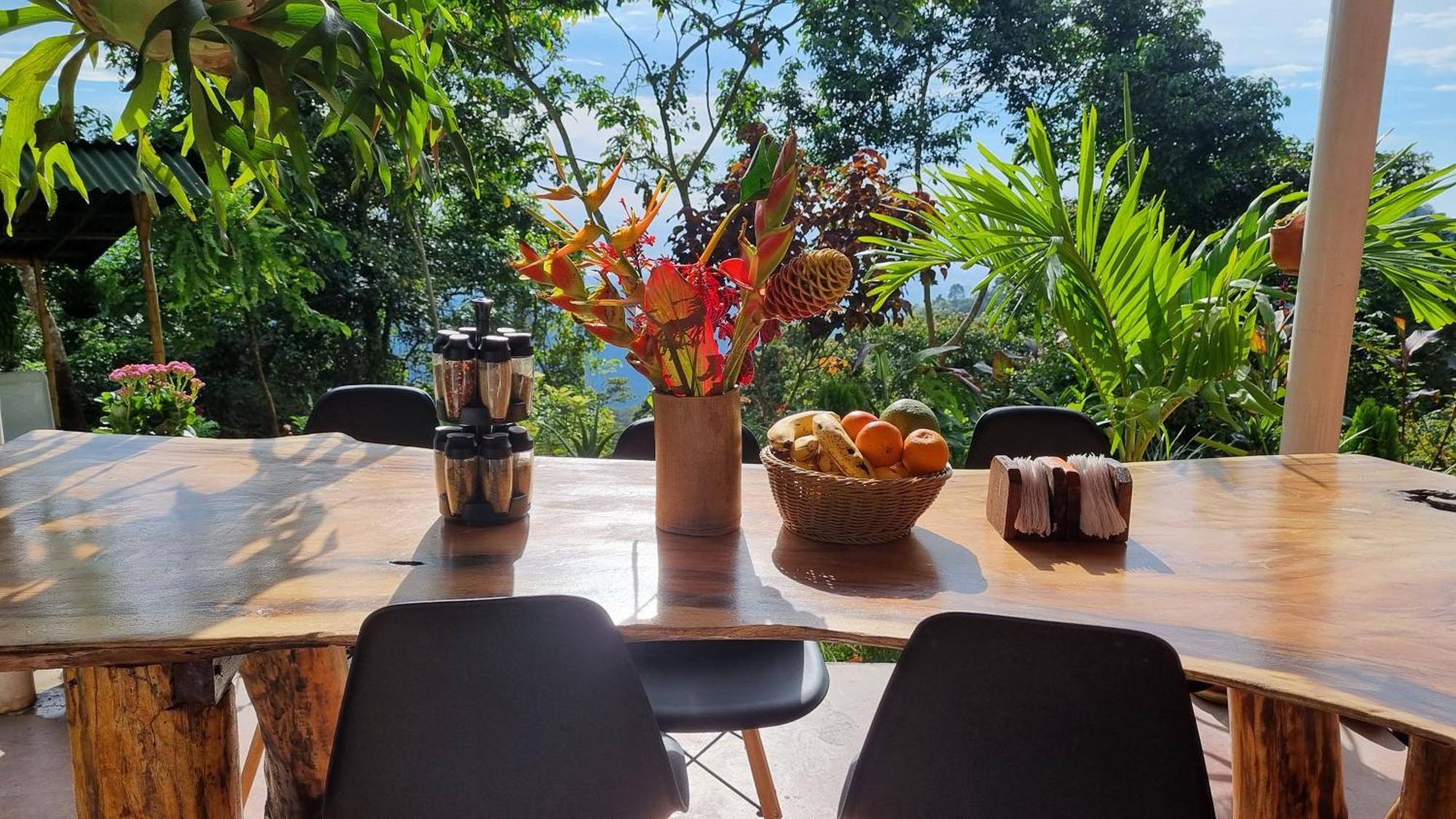 Minca Sintropia - Sustainable Lodge & Organic Coffee Finca Zewnętrze zdjęcie