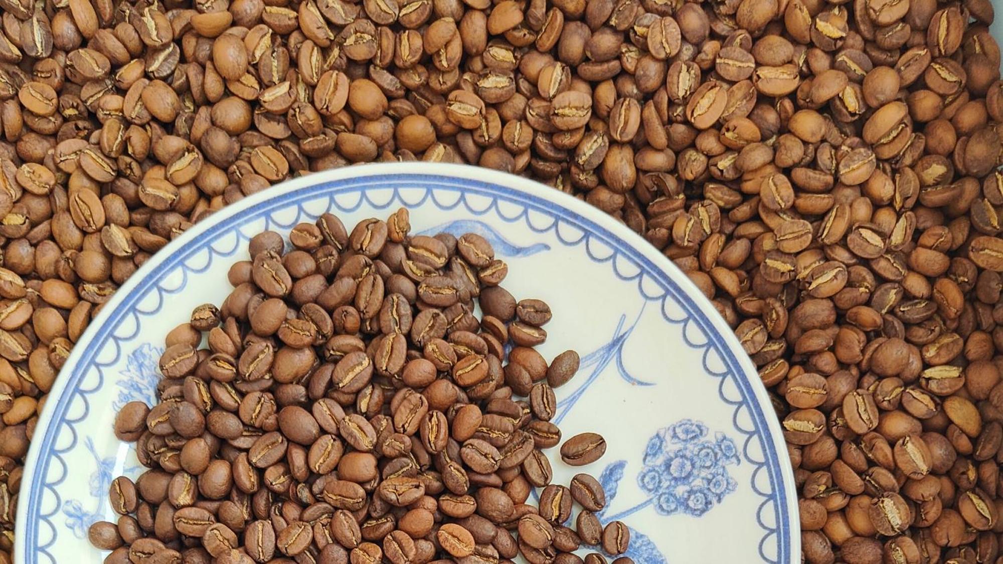 Minca Sintropia - Sustainable Lodge & Organic Coffee Finca Zewnętrze zdjęcie