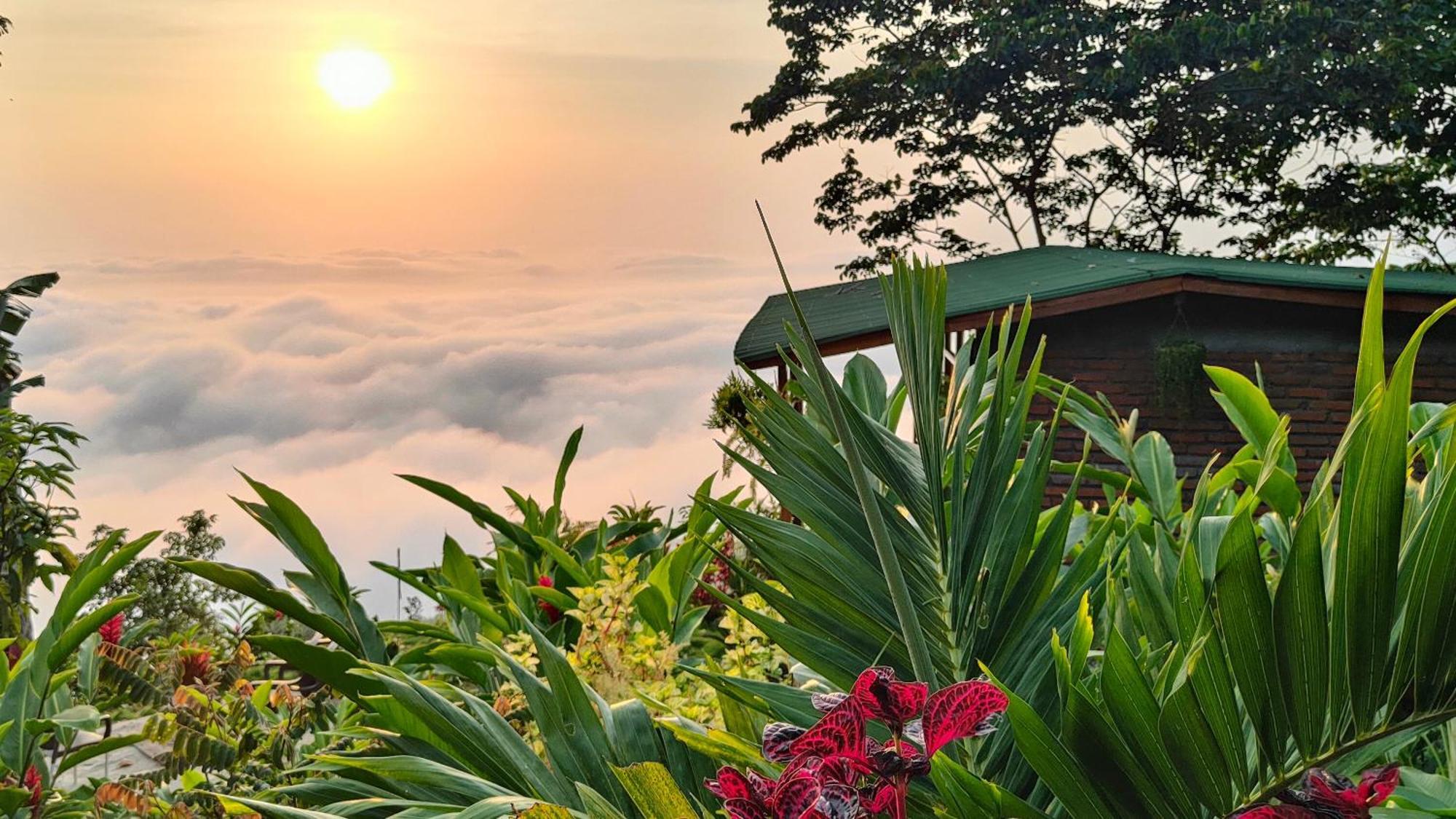 Minca Sintropia - Sustainable Lodge & Organic Coffee Finca Zewnętrze zdjęcie