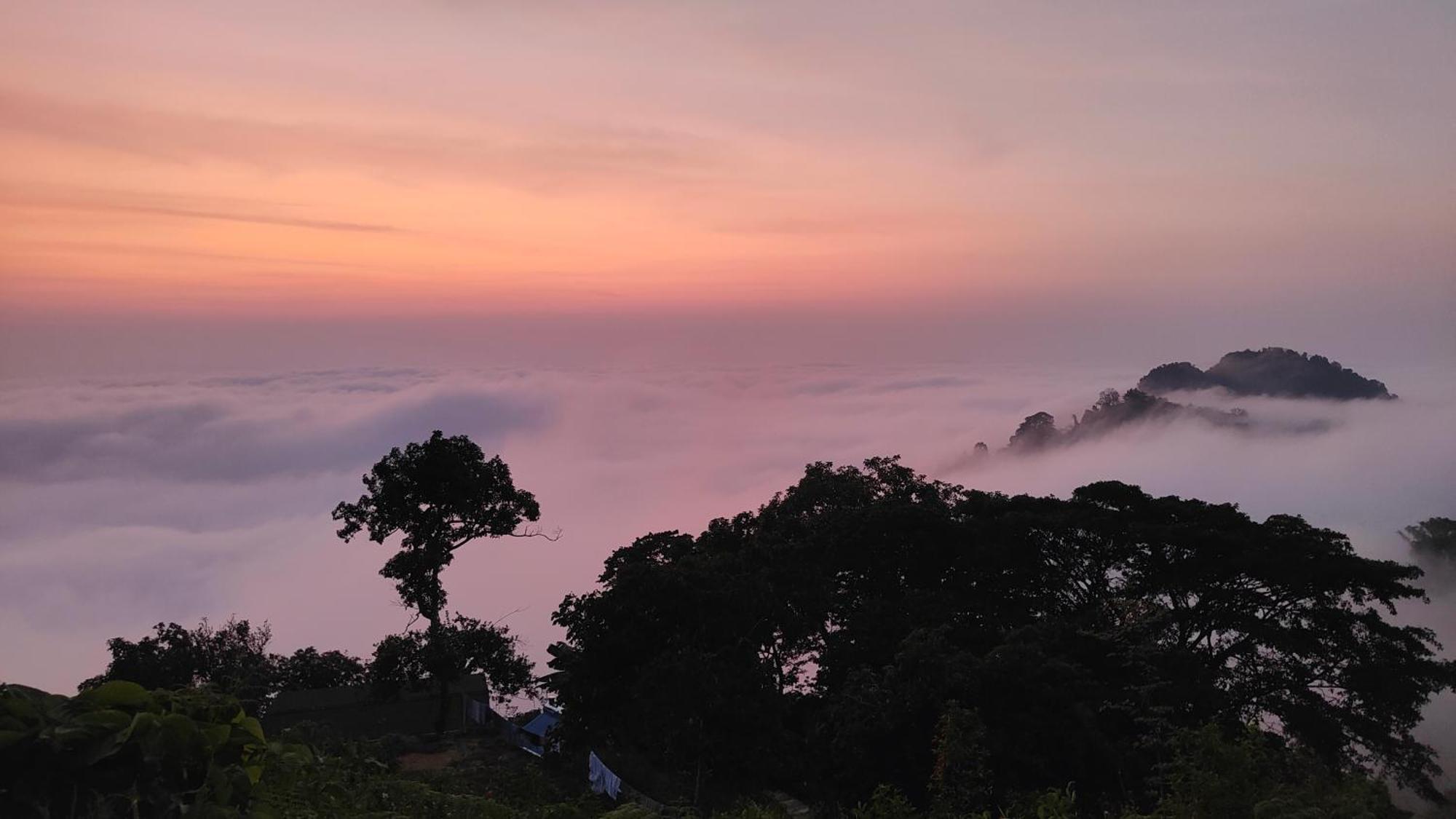 Minca Sintropia - Sustainable Lodge & Organic Coffee Finca Zewnętrze zdjęcie